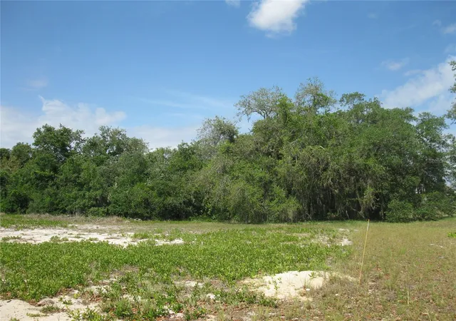 1st image of 4199 Jacaranda Dr, Lake Wales, FL 33898 | MLS# L4961695