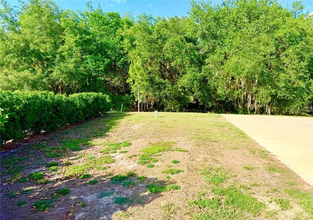Photo 3 of Land for sale at 4933 SE 92nd Boulevard, Webster, FL 33597 | MLS# G5112027 | Listing updated on 2026-05-07
