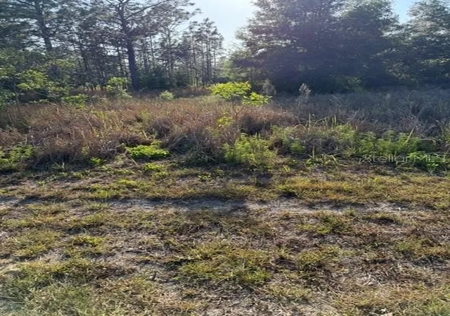 Photo 3 of Land for sale at Sw 142 Court, Ocala, FL 34481 | MLS# O6405597 | Listing updated on 2026-08-24