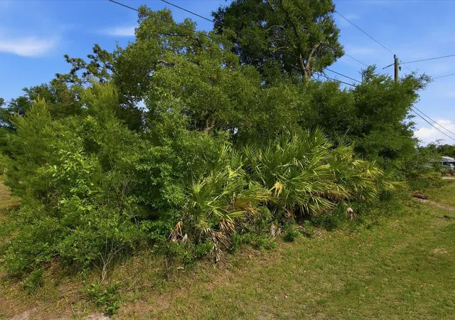 Photo 4 of Land for sale at 1001 10th Avenue, Deland, FL 32724 | MLS# O6405614 | Listing updated on 2026-09-29