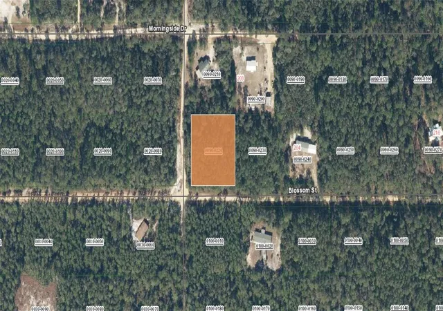 Photo 2 of Land for sale at Xx Blossom, Florahome, FL 32140 | MLS# FC318376 | Listing updated on 2026-05-08