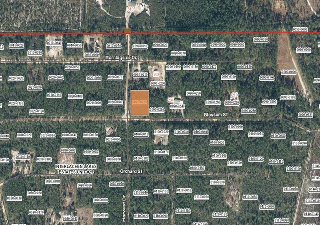 Photo 3 of Land for sale at Xx Blossom, Florahome, FL 32140 | MLS# FC318376 | Listing updated on 2026-09-12