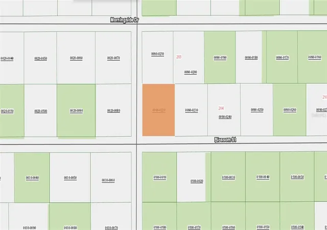 Photo 4 of Land for sale at Xx Blossom, Florahome, FL 32140 | MLS# FC318376 | Listing updated on 2026-05-08
