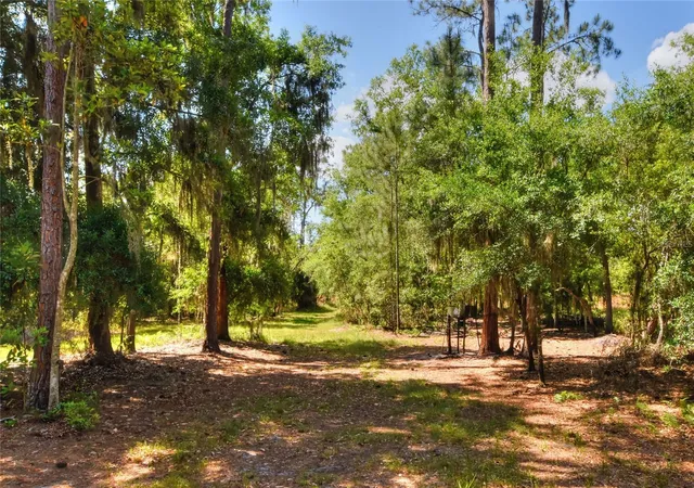 Photo 11 of Sale Pending at 0 Lake Buffum Rd W, Fort Meade, FL 33841 | MLS# TB8506206 | Listing updated on 2026-09-02