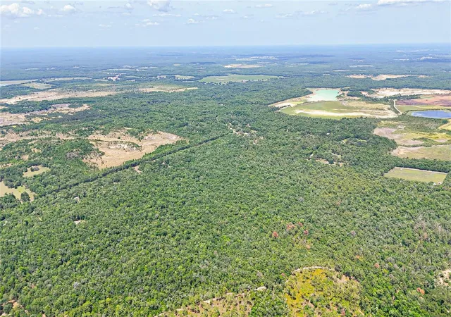 34th image of 0 Windhaven Ln, Homosassa, FL 34448 | MLS# W7885549