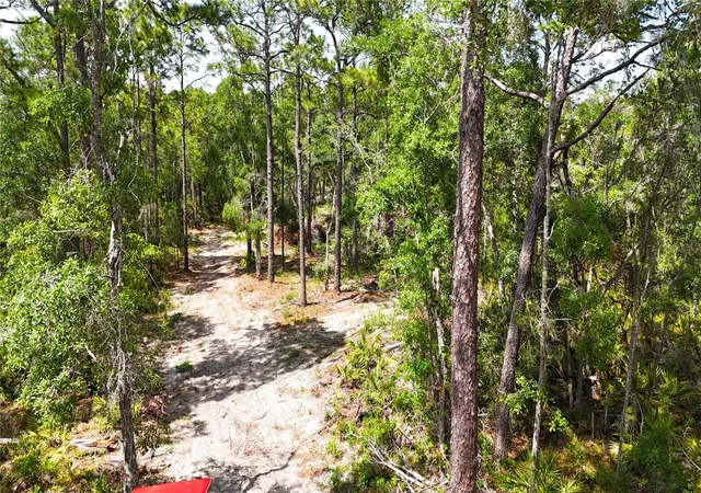 4th image of 0 Windhaven Ln, Homosassa, FL 34448 | MLS# W7885549