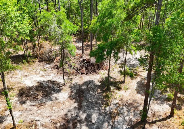 5th image of 0 Windhaven Ln, Homosassa, FL 34448 | MLS# W7885549