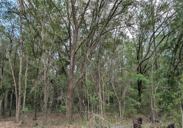1st image of Tbd Ne 108th Pl, Waldo, FL 32694 | MLS# GC540156
