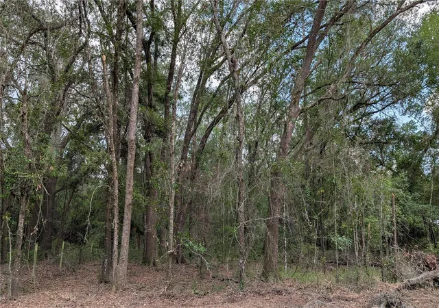 2nd image of Tbd Ne 108th Pl, Waldo, FL 32694 | MLS# GC540156