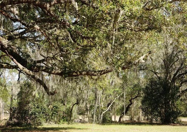 Photo 3 of Land for sale at 22838 Bungalow Ln, Land O Lakes, FL 34639 | MLS# TB8506289 | Listing updated on 2026-09-15