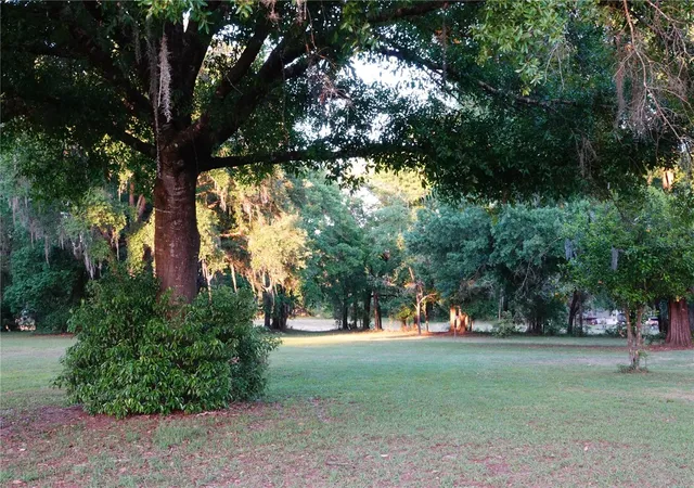 Photo 3 of Land for sale at 22838 Bungalow Ln, Land O Lakes, FL 34639 | MLS# TB8506289 | Listing updated on 2026-09-15