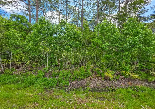Photo 4 of Land for sale at 9152 U S Hwy 1, Saint Augustine, FL 32086 | MLS# FC318384 | Listing updated on 2026-05-08