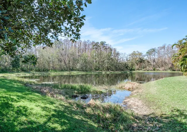 89th image of 4037 Auston Wy, Palm Harbor, FL 34685 | MLS# TB8506309