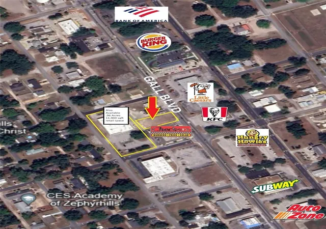 8th image of 0 Gall Blvd, Zephyrhills, FL 33542 | MLS# TB8506358