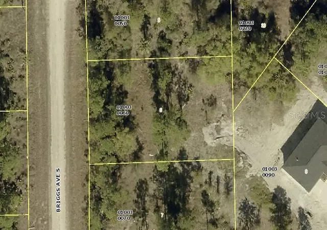 Photo 1 of Land for sale at 315 Briggs Ave S, Lehigh Acres, FL 33974 | MLS# N6144255 | Listing updated on 2026-05-08