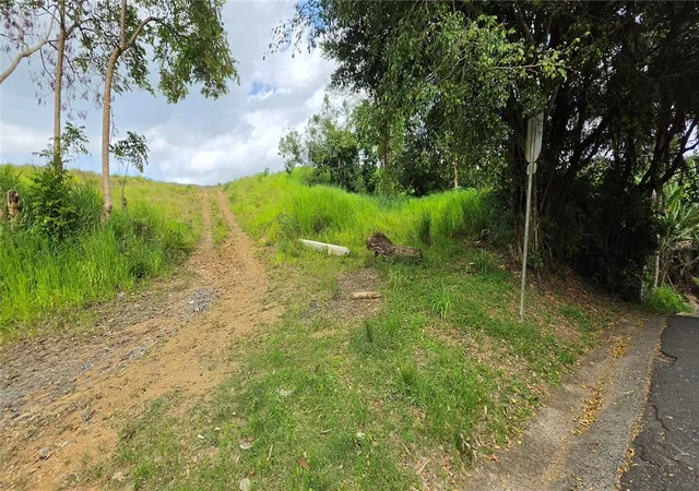 Photo 3 of Land for sale at Bo Martin Gonzalez Calle Campeche, San Juan, PR 00924 | MLS# PR9121223 | Listing updated on 2026-05-15