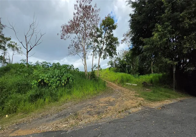 Photo 4 of Land for sale at Bo Martin Gonzalez Calle Campeche, San Juan, PR 00924 | MLS# PR9121223 | Listing updated on 2026-05-15