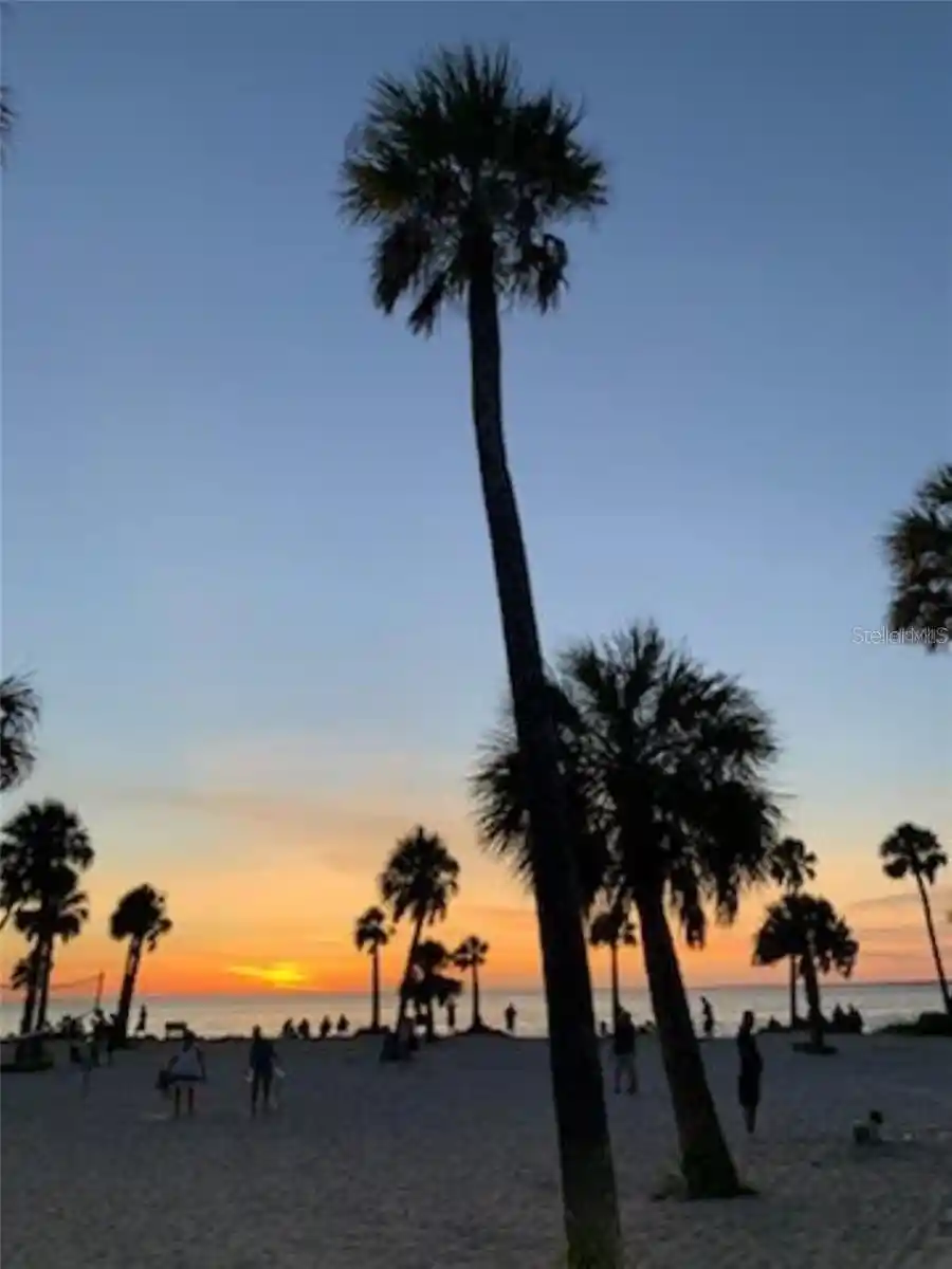 Listing Photo 100 - Condo for sale in 39820 Us Hwy 19 N located at 39820 Us Hwy 19 N, TARPON SPRINGS, FL 34689 - Unit #15