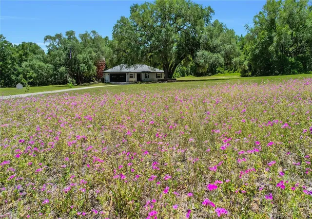 Homes for sale in Weirsdale, FL | 17373 Se 130th Ave, Weirsdale, FL 32195 | MLS# G5112110