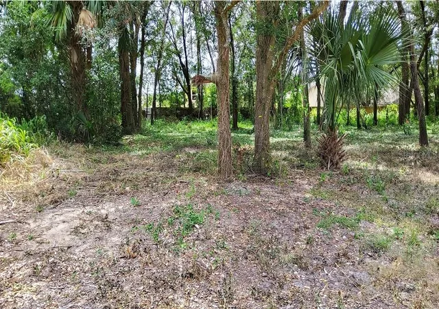 Photo 1 of Land for sale at 25050 Algonquin Ave, Sorrento, FL 32776 | MLS# TB8506729 | Listing updated on 2026-05-09