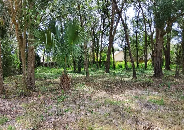 Photo 2 of Land for sale at 25050 Algonquin Ave, Sorrento, FL 32776 | MLS# TB8506729 | Listing updated on 2026-05-09