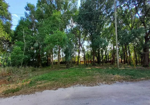 Photo 2 of Land for sale at 25050 Algonquin Ave, Sorrento, FL 32776 | MLS# TB8506729 | Listing updated on 2026-05-09