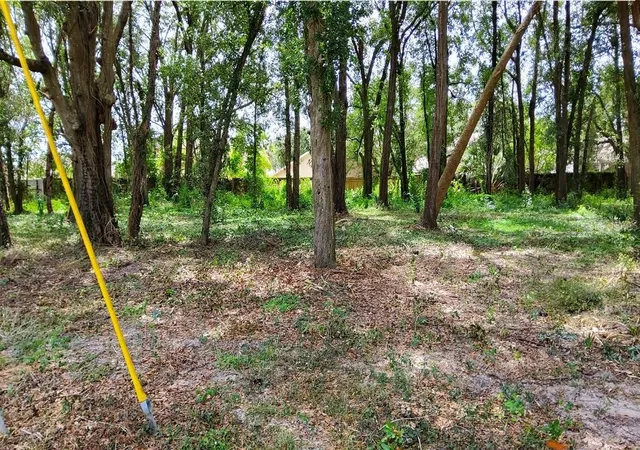 Photo 3 of Land for sale at 25050 Algonquin Ave, Sorrento, FL 32776 | MLS# TB8506729 | Listing updated on 2026-05-09