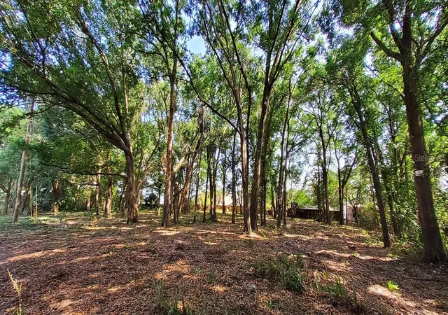 Photo 4 of Land for sale at 25050 Algonquin Ave, Sorrento, FL 32776 | MLS# TB8506729 | Listing updated on 2026-05-09