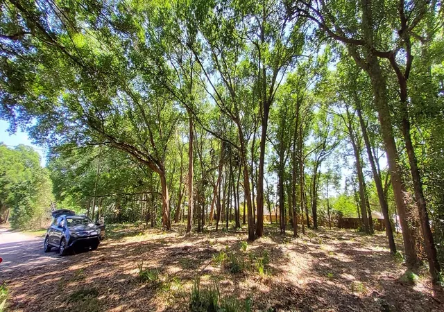 Photo 10 of Land for sale at 25050 Algonquin Ave, Sorrento, FL 32776 | MLS# TB8506729 | Listing updated on 2026-05-09