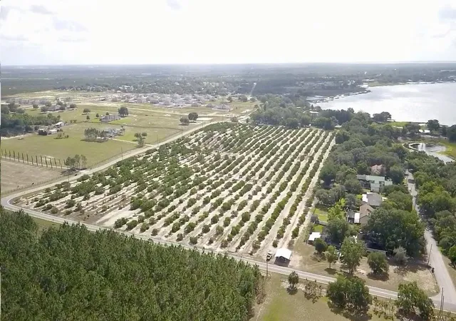 5th image of Crooked Lake Dr N, Babson Park, FL 33827 | MLS# P4938673