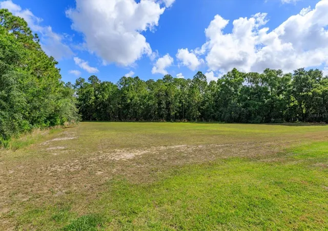 4th image of 16201 Citrus Pkwy, Clermont, FL 34714 | MLS# G5112124
