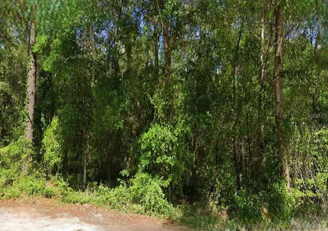 Land for sale at NE 6th Lane Rd, SILVER SPRINGS, FL 34488 | MLS# O6406414