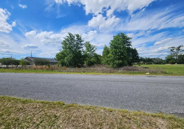 Photo 3 of Land for sale at Se 140th Street, Summerfield, FL 34491 | MLS# O6406469 | Listing updated on 2026-07-22