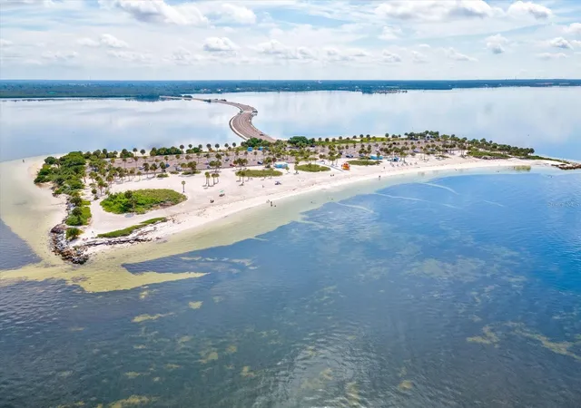 58th image of 450 Harbor Springs Dr, Palm Harbor, FL 34683 | MLS# TB8507058