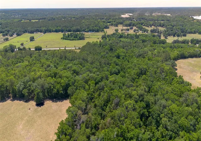 12th image of 00 Nw Hwy 225, Reddick, FL 32686 | MLS# OM724497