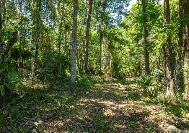 4th image of 00 Nw Hwy 225, Reddick, FL 32686 | MLS# OM724497