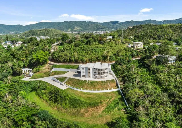 Homes for sale in Cayey, PR | Carr 171 Mogote, Cayey, PR 00736 | MLS# PR9121268