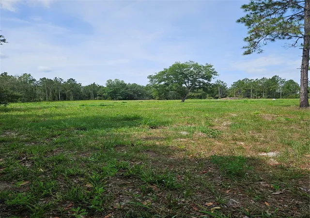 1st image of Geneva Woods Cvs, Geneva, FL 32732 | MLS# O6406735