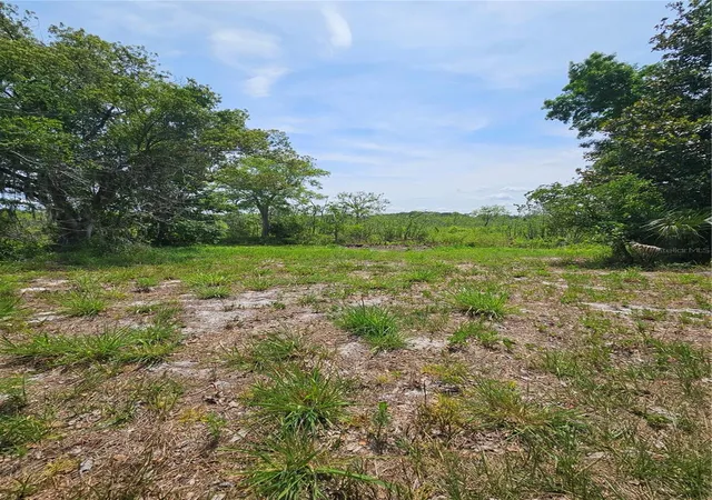 15th image of Geneva Woods Cvs, Geneva, FL 32732 | MLS# O6406735