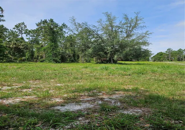4th image of Geneva Woods Cvs, Geneva, FL 32732 | MLS# O6406735