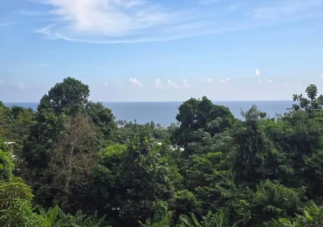 Homes for sale in Patillas, PR | 290 Calle Ceiba, Patillas, PR 00723 | MLS# PR9121291