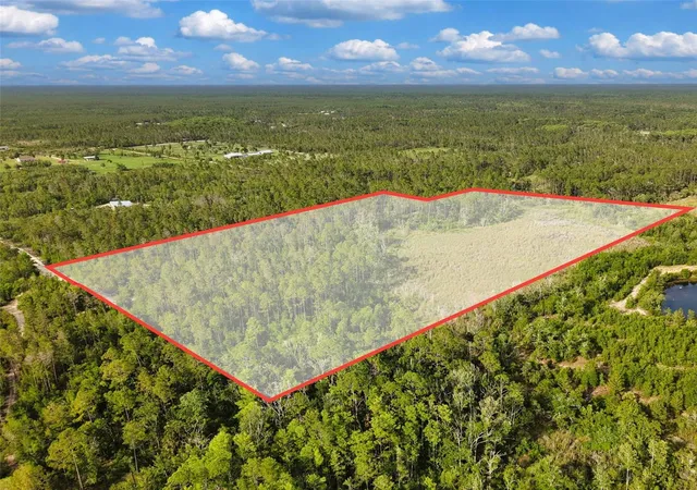 Homes for sale in Steinhatchee, FL | Savanna Ln, Steinhatchee, FL 32359 | MLS# GC540269
