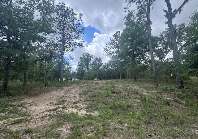 Photo 2 of Land for sale at Tbd Ne 16th Place, Williston, FL 32696 | MLS# OM724593 | Listing updated on 2026-09-25