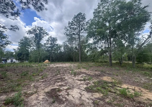 Photo 3 of Land for sale at Tbd Ne 16th Place, Williston, FL 32696 | MLS# OM724593 | Listing updated on 2026-09-25