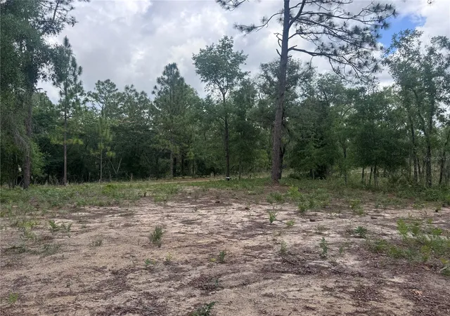 Photo 4 of Land for sale at Tbd NE 16th Place, Williston, FL 32696 | MLS# OM724593 | Listing updated on 2026-09-25