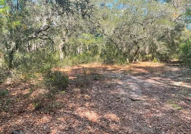 Photo 1 of Land for sale at 9345 Se 195th Avenue, Ocklawaha, FL 32179 | MLS# TB8507734 | Listing updated on 2026-05-14
