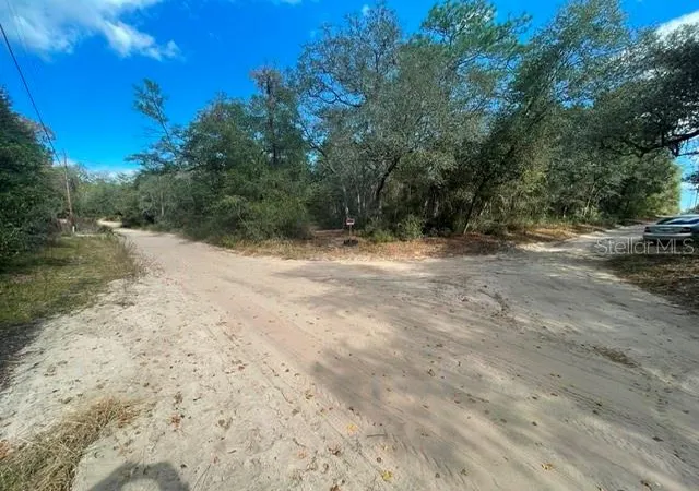 Photo 3 of Land for sale at 9345 Se 195th Avenue, Ocklawaha, FL 32179 | MLS# TB8507734 | Listing updated on 2026-05-14