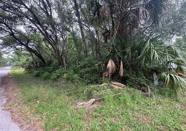 Photo 3 of Land for sale at 874 N Savary Ave, Inverness, FL 34453 | MLS# GC540290 | Listing updated on 2026-08-06