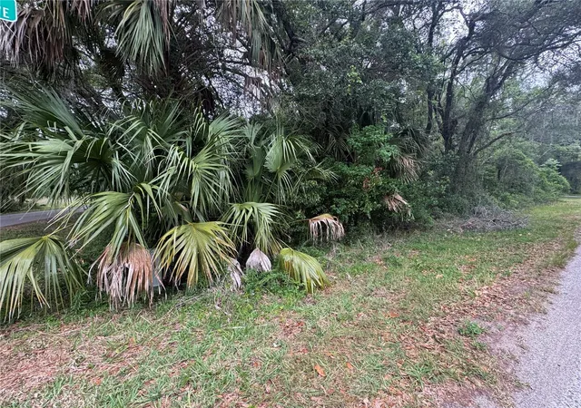 Photo 3 of Land for sale at 874 N Savary Ave, Inverness, FL 34453 | MLS# GC540290 | Listing updated on 2026-10-03