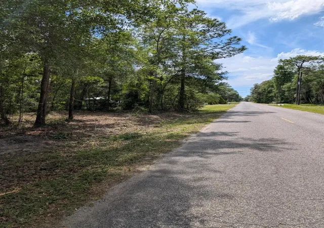 2nd image of 0 Ne 220th St, Fort Mc Coy, FL 32134 | MLS# OM724633